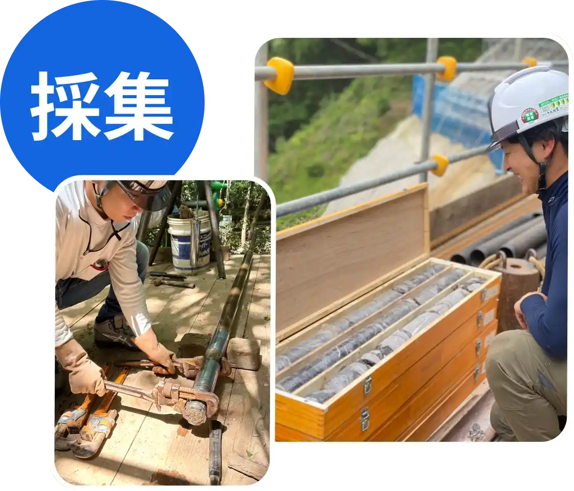 採集